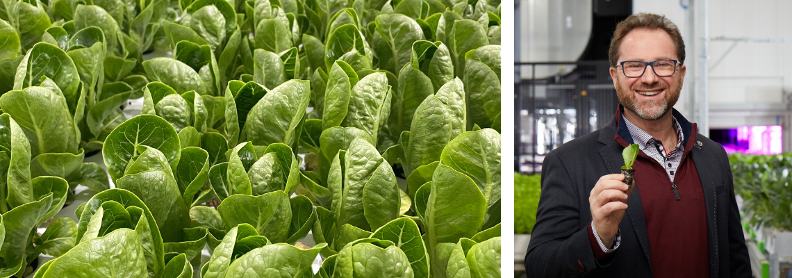 Vertical farming brings  tremendous efficiency