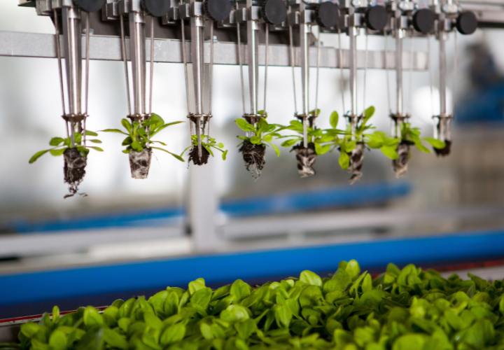 Increasing impact on the  North American market-High Tech