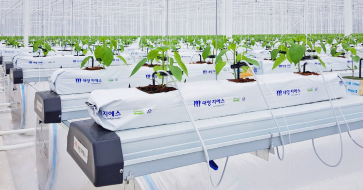 Asian countries invest in the future of horticulture