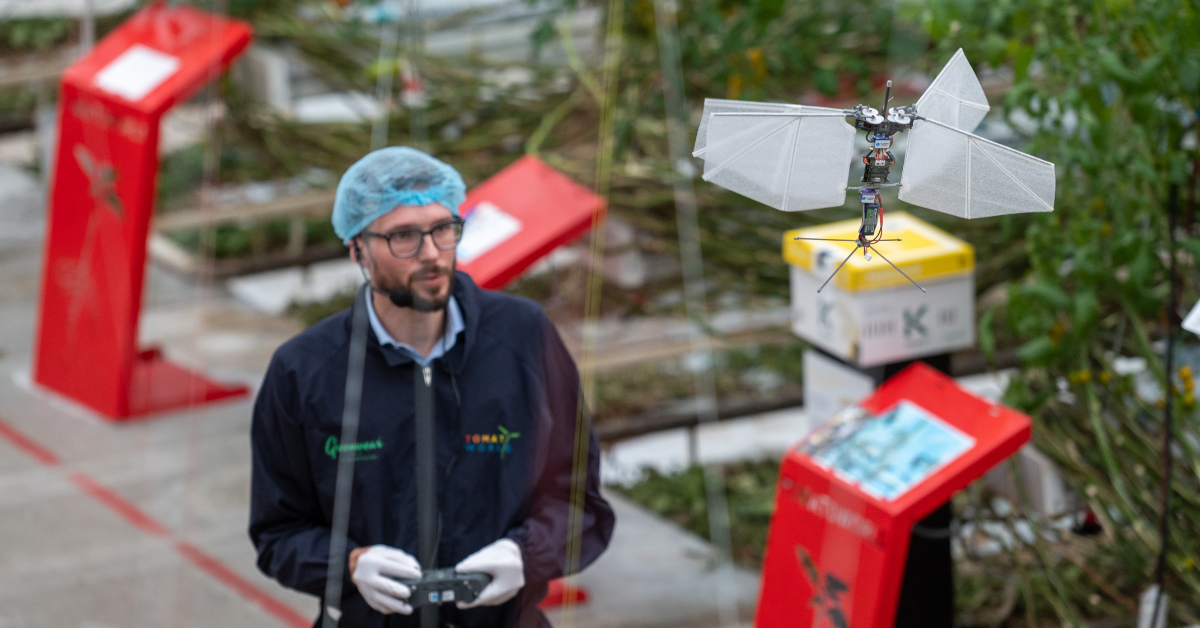 Tomatoworld drones en 5G