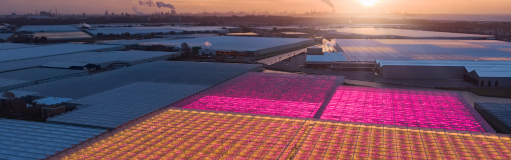 Greenhouse energy
