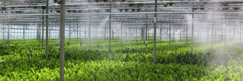 green house humidifier 1000x333
