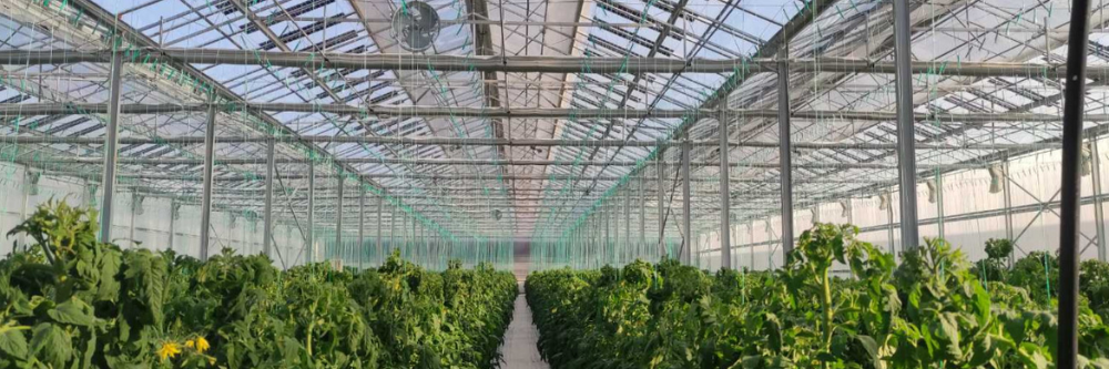 greenhouse 1000x333