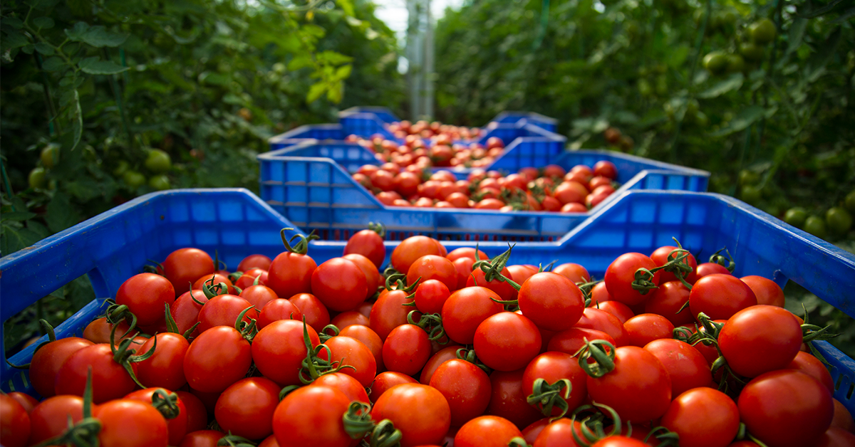 The predictable future of produce