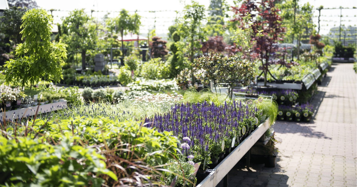 ‘We will part ways with  growers who do not comply’