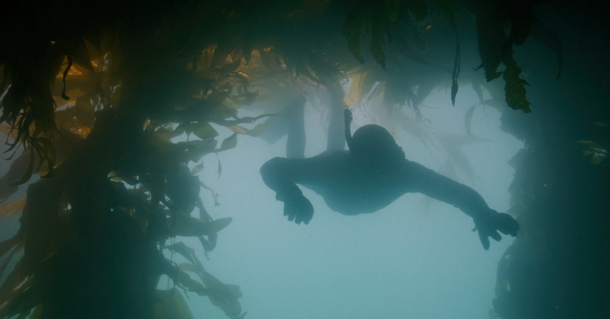 Seaweed is becoming the norm