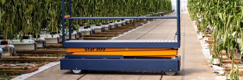 Los carros electricos