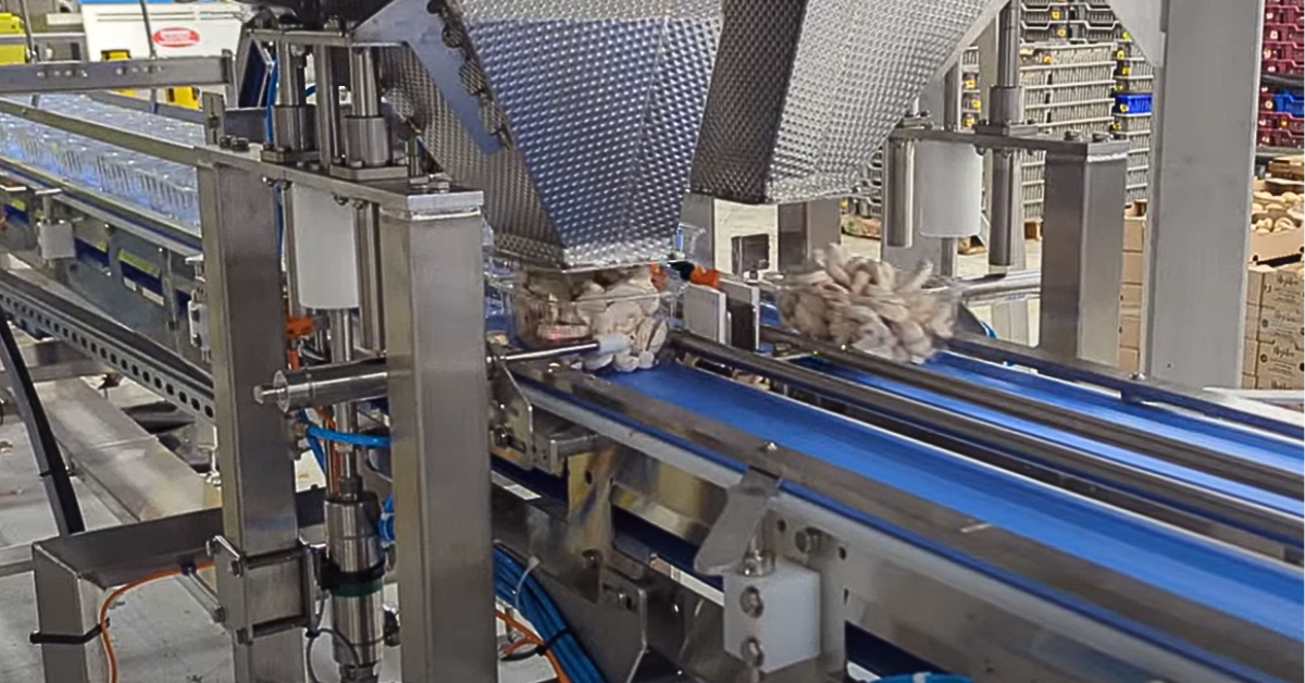 ‘Reliability, scalability, and local support in post-harvest’