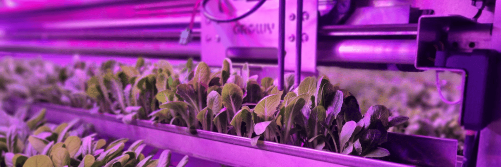 growy_farm