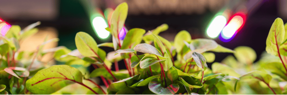 boletin april 28 1000 x 333 px