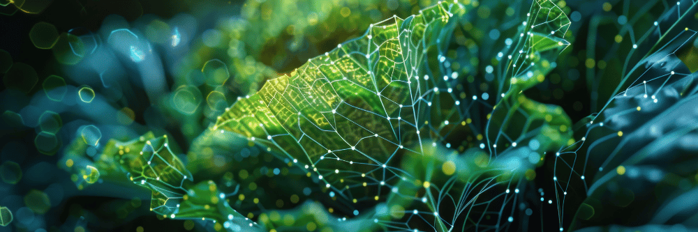 Green leaf with data points 2 1