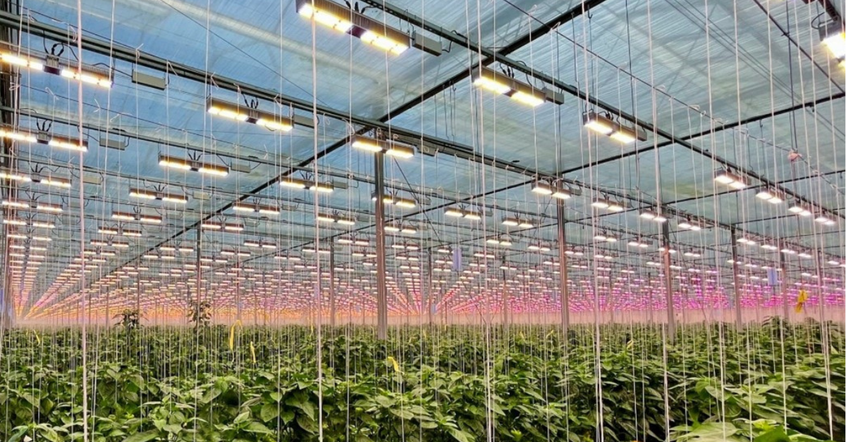 How to get even better results with your LED lighting?