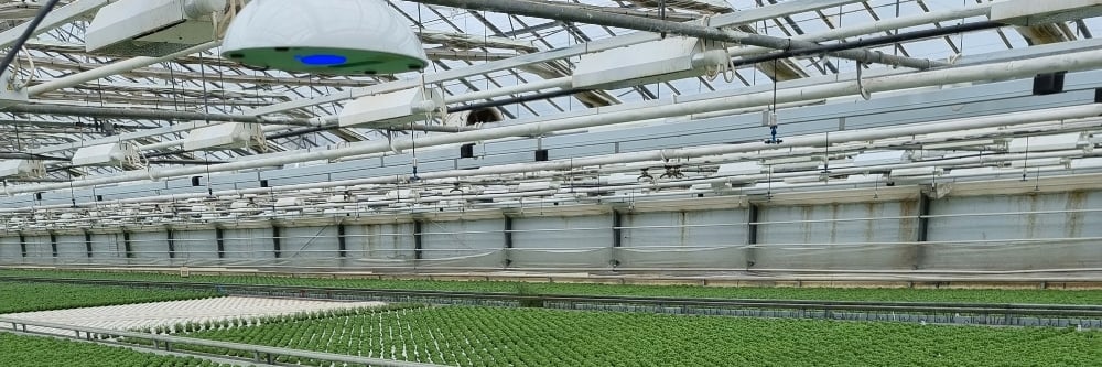 Heliospectra greenhouse 1000 x 333 px