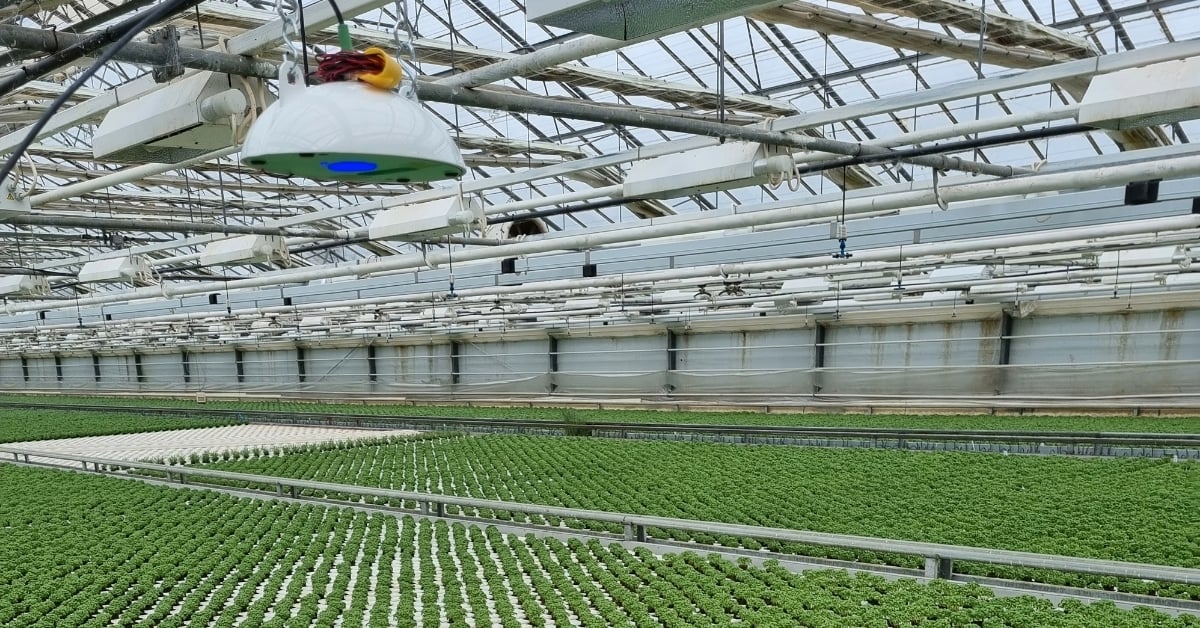 From climate control to plant control