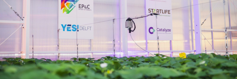 HIC-Foto 2 1000333 (1)