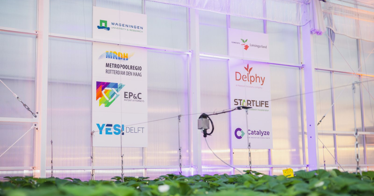 'We need pioneers who can take the first step'