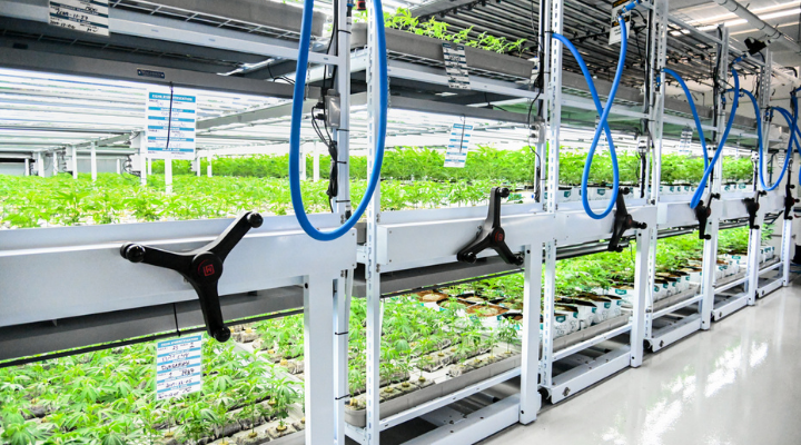 Yves Bélanger of Montel Inc. believes that COVID-19 has only increased the need to grow locally and inside cities. 