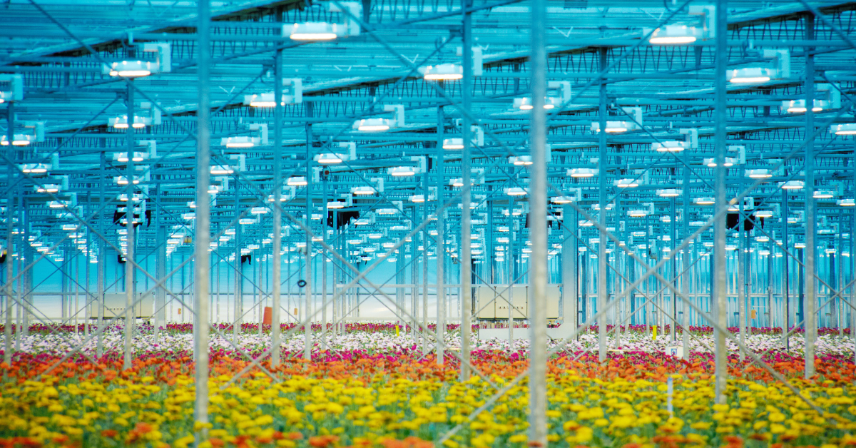 Growing solutions: How the Dutch Topsector approach fosters innovation