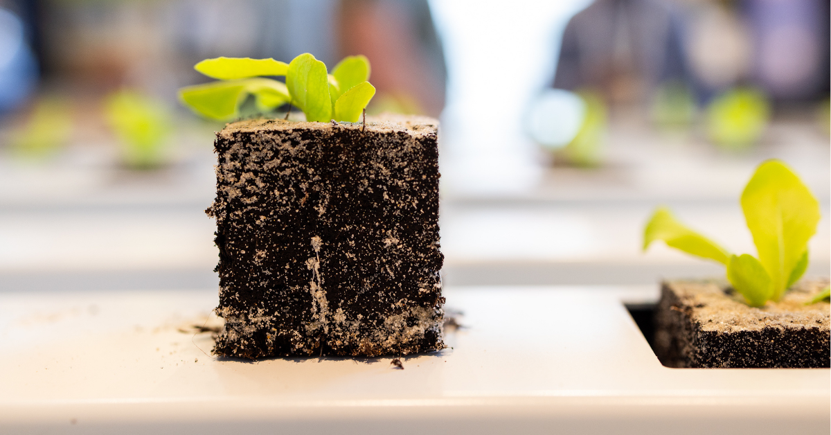 Growing a sustainable future