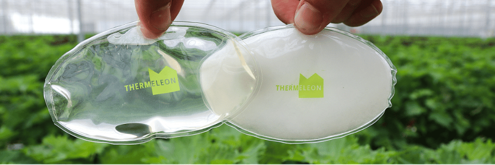 Thermeleon 1000 x 333 px