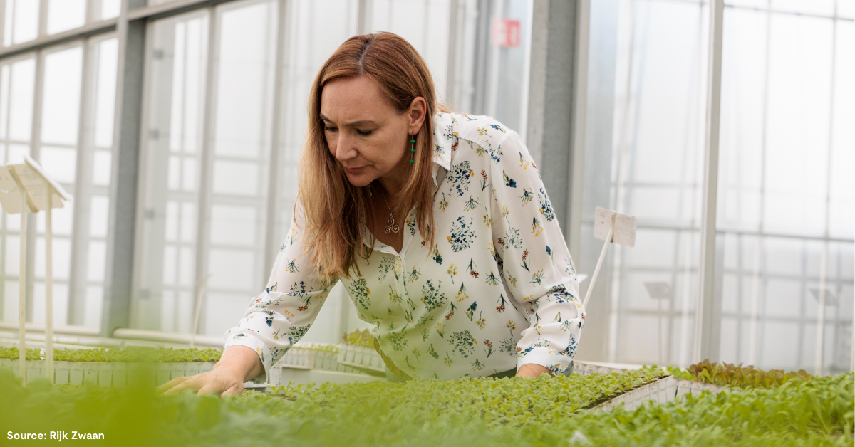Varieties tailored for every climate