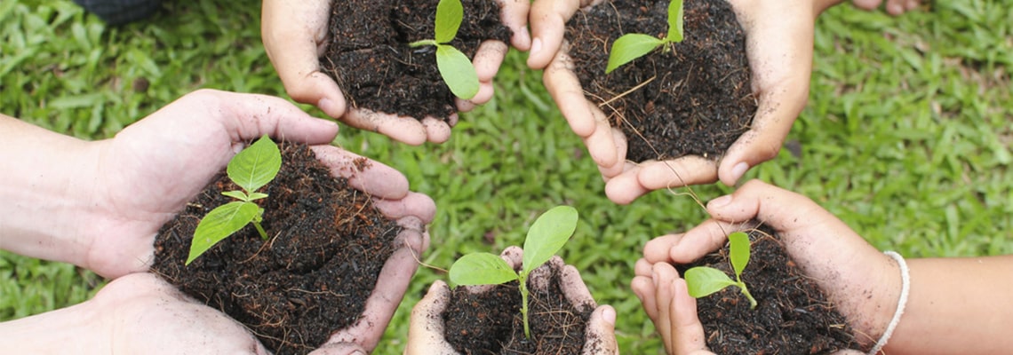 Take a look into the future of growing