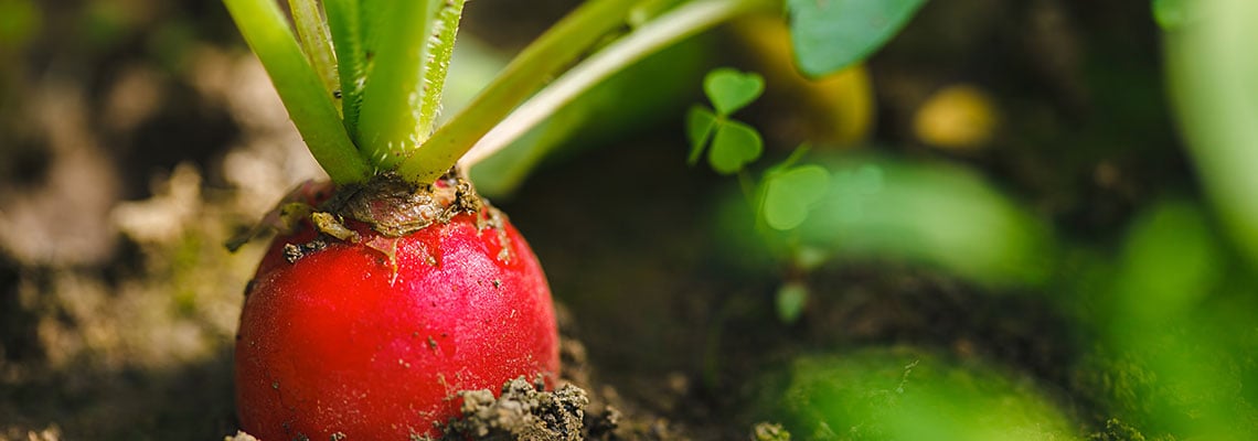 Nominees for GreenTech Innovation Awards 2018 announced