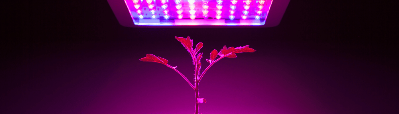 Kandidaten für die GreenTech Innovation Awards 2019 bekannt gegeben
