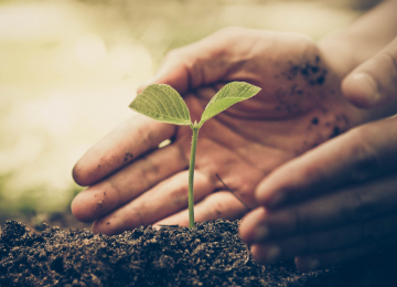 greentech-2019-addresses-crop-production-challenges