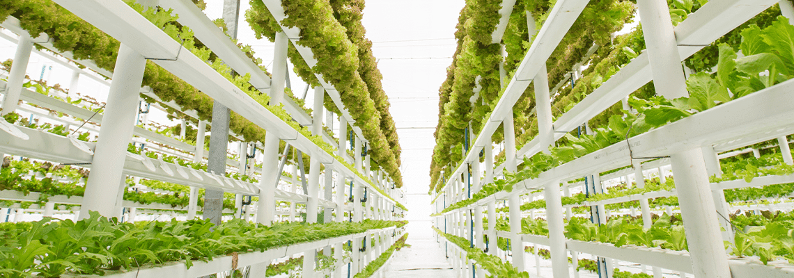 GreenTech Webinar Talks: Deep dive into horticulture technologies