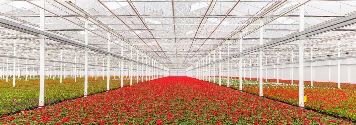 The earth in a greenhouse, Labour scarcity and Geothermal energy