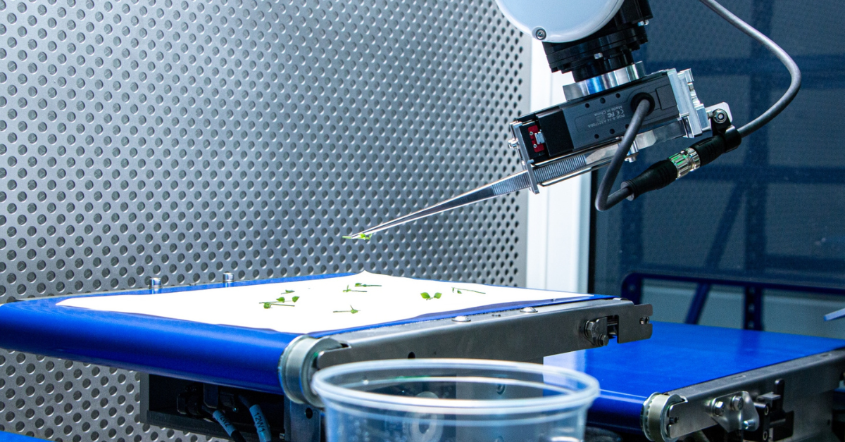 Nieuwe robot plant zelfstandig weefsel voor bessen en appels