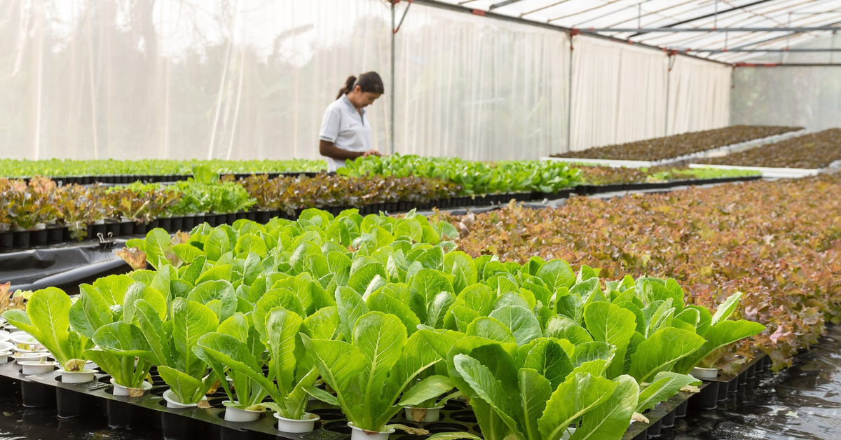 GreenTech Americas 2024 cultivates success in controlled environments