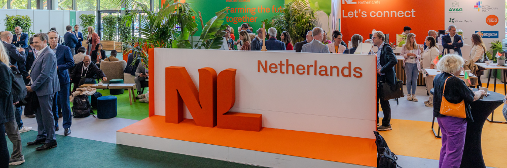 NL  1000x333