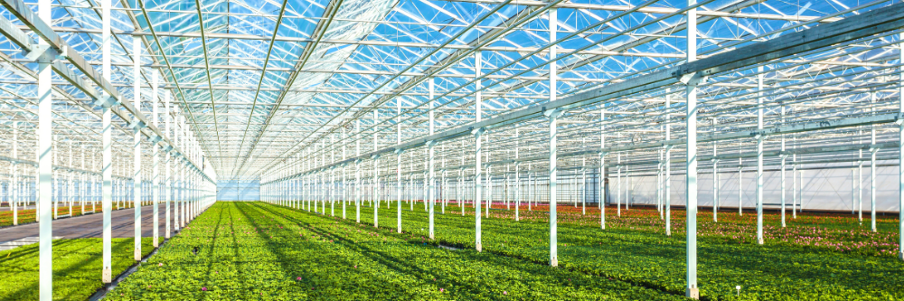 North America greenhouse 1000x333
