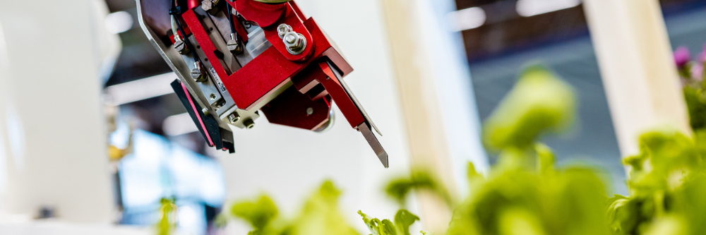 Robots and plants