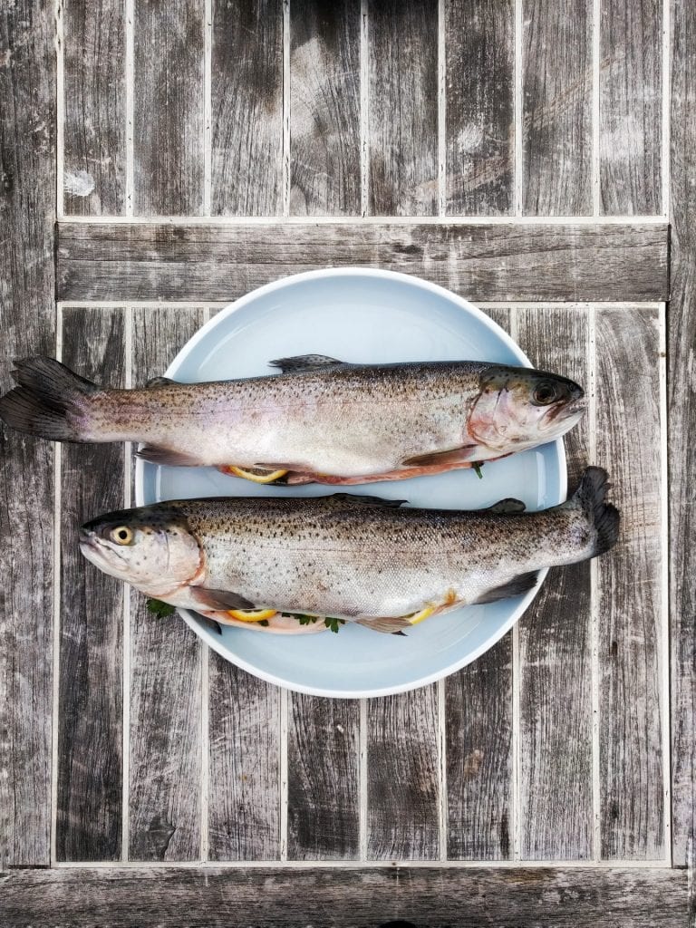 Foodservice DenkTank held Martin Siekkotter Falstaff | Horecava