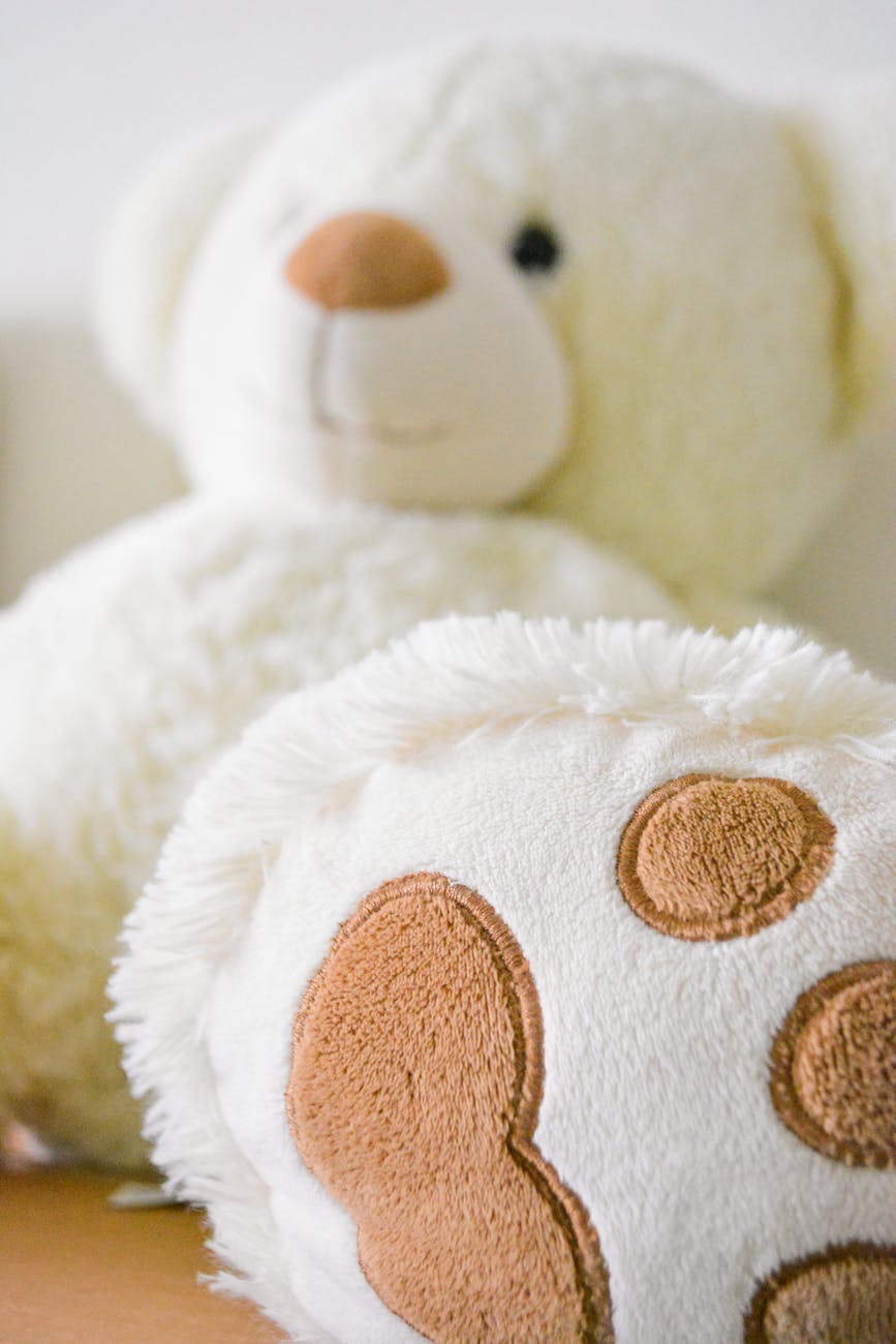 Experience After Presents for Children by Harm Jakob Tolsma teddy bear