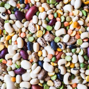 vegan op de menukaart