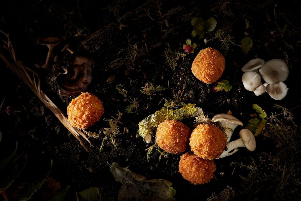 GRO vleesvervangers: bitterballen