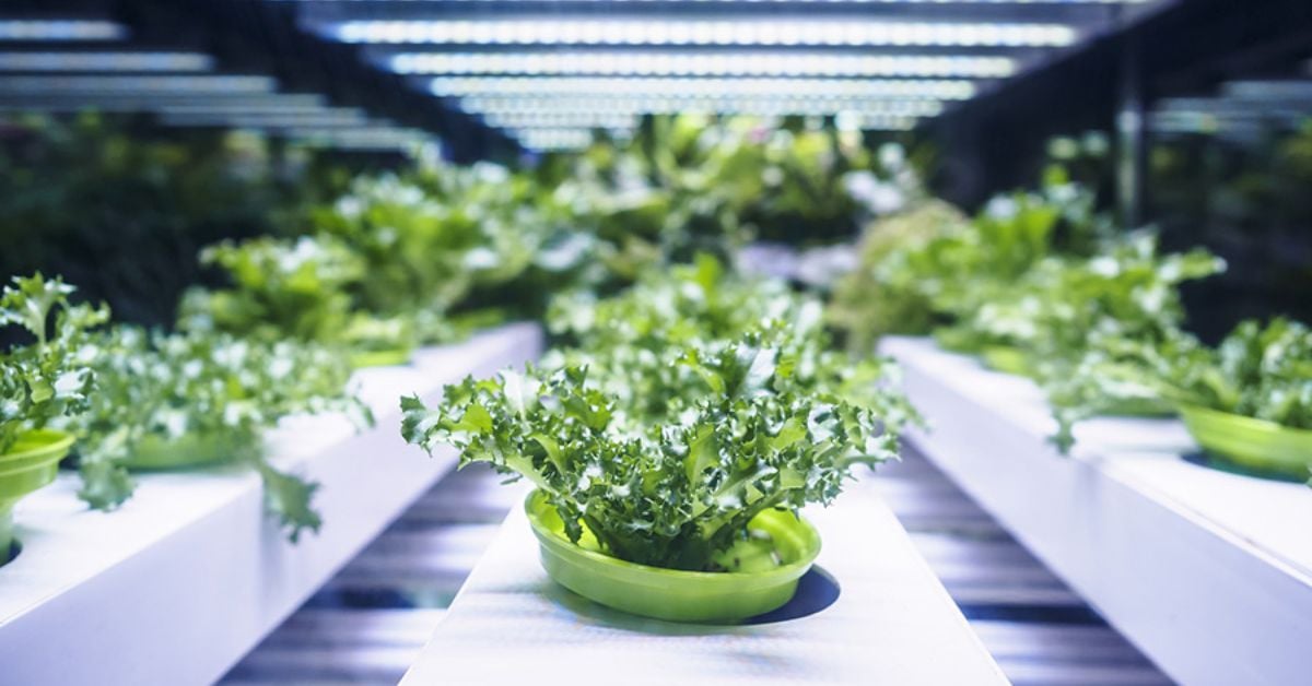 Planet Proof oplossingen op het TrendLAB 2025