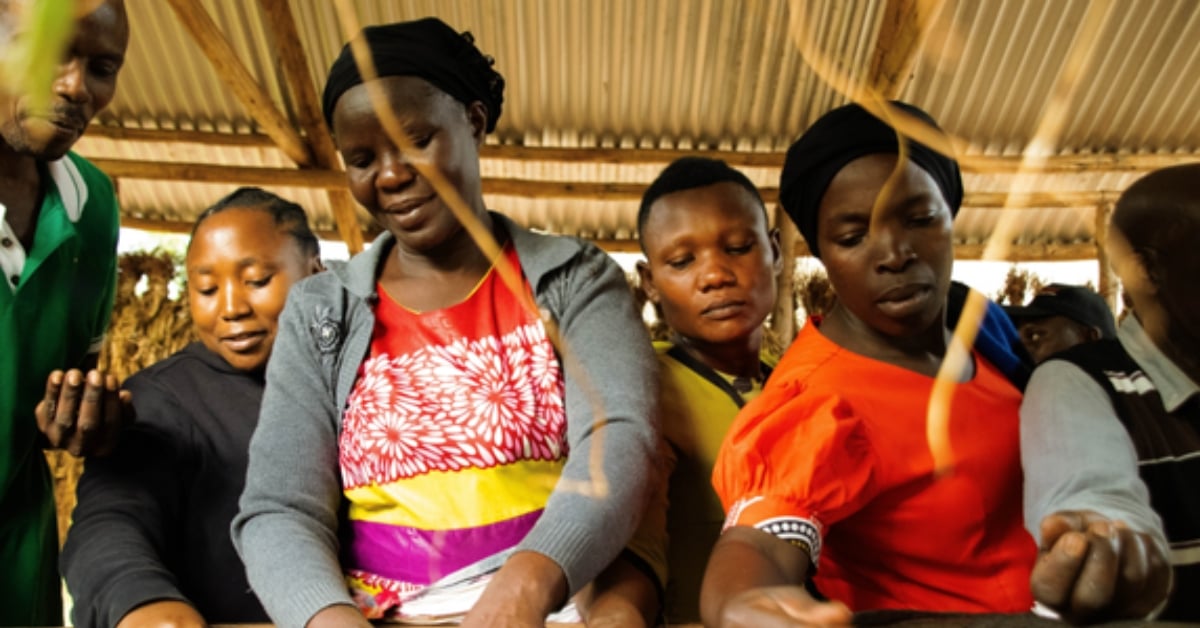 Een groep mensen werkt gezamenlijk aan voedselverwerking onder een golfplaten dak