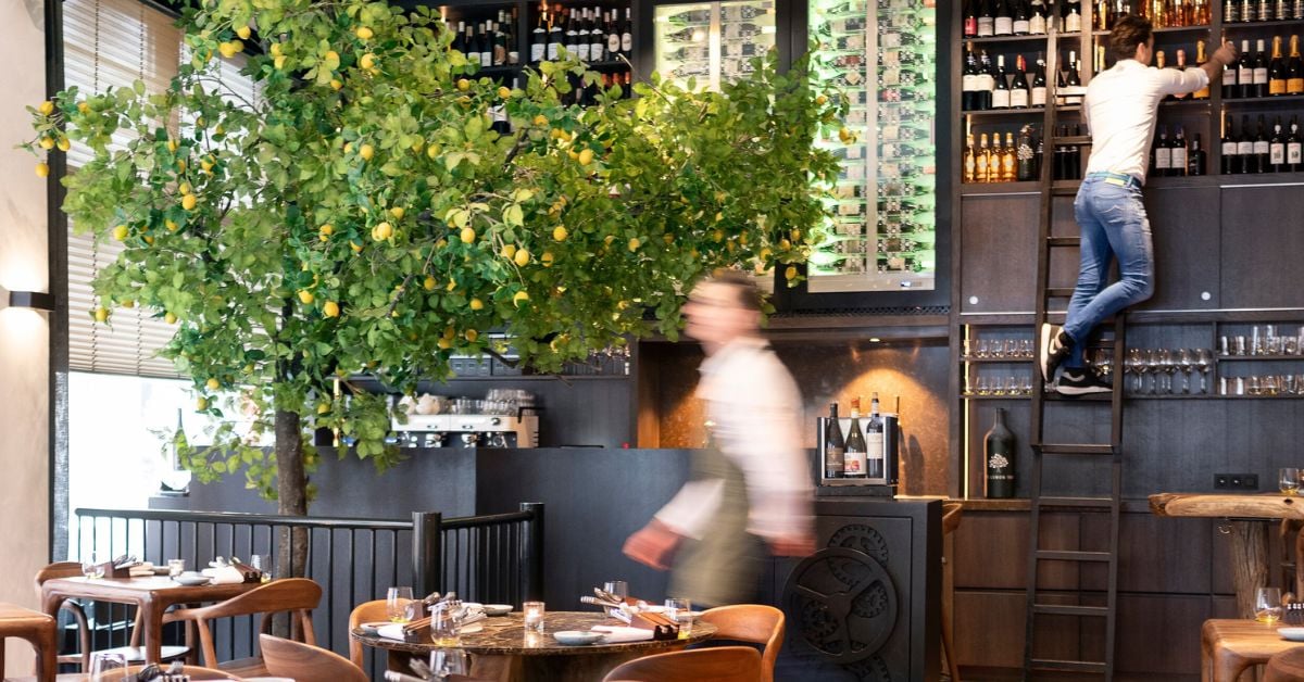 Stijlvol restaurant met een citroenboom in het interieur