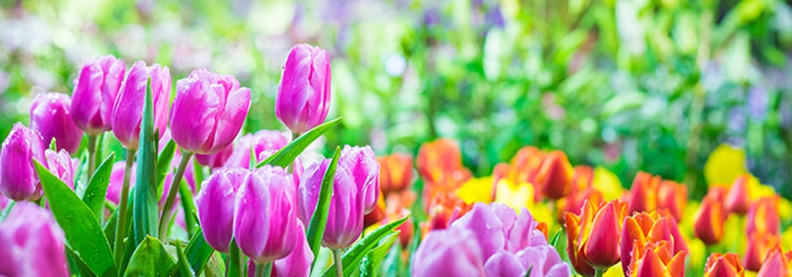 10 dingen om te doen nu de lente er aan komt!