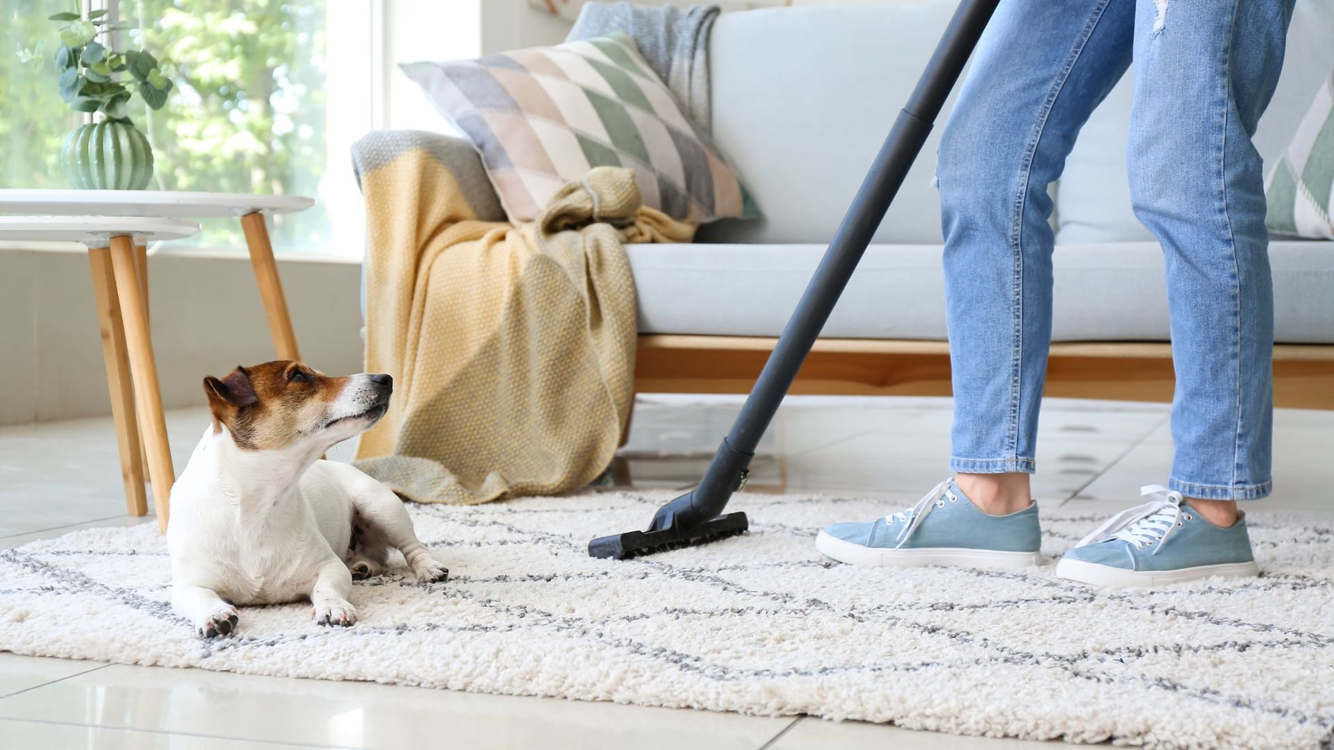 Vloerkleed_Schoonmaken