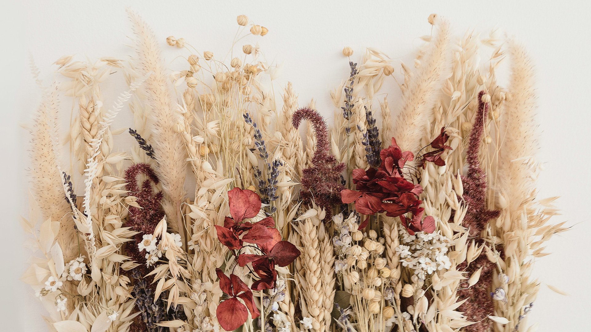 Laat je interieur opbloeien met droogbloemen! Van prachtige boeketten tot creatieve DIY-projecten, de mogelijkheden zijn eindeloos. Lees snel verder en laat je inspireren.