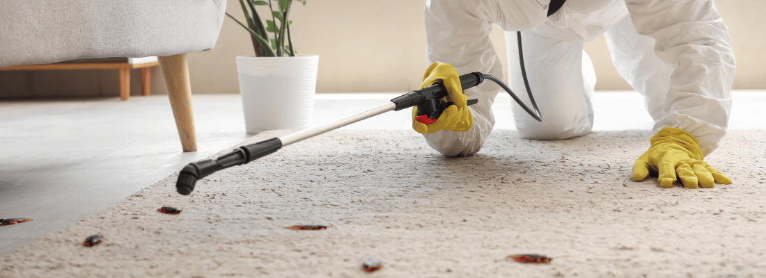 pest-control