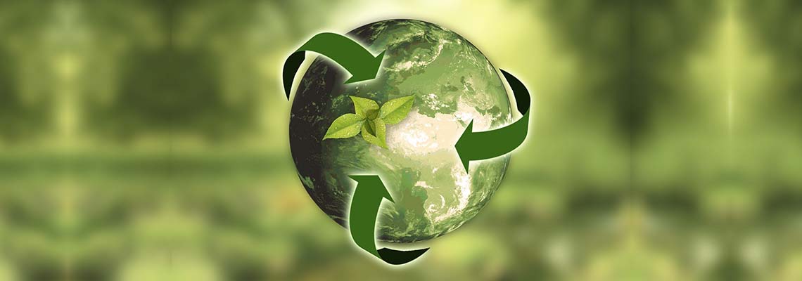 How to become sustainable: 10 principles to get you going