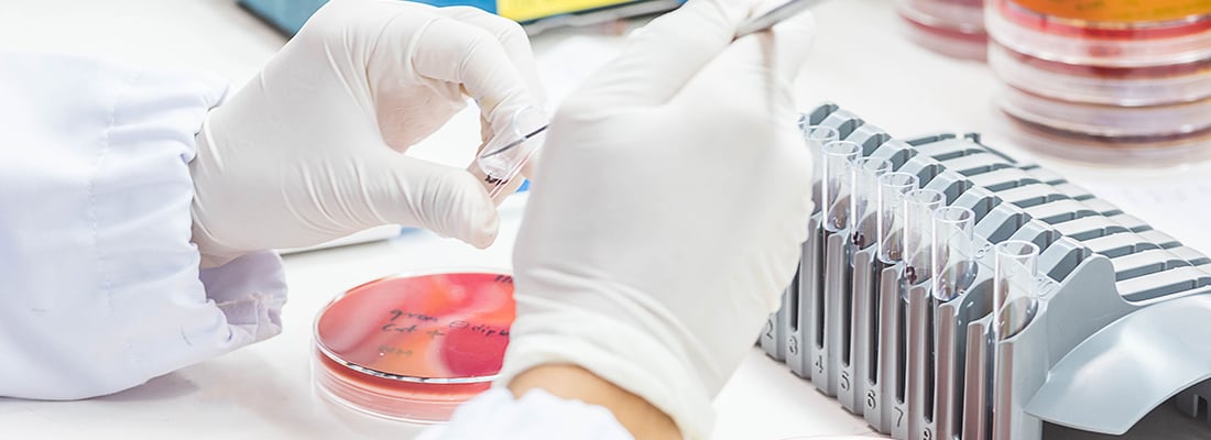 Environmental decontamination 1: What is it and why is it important?