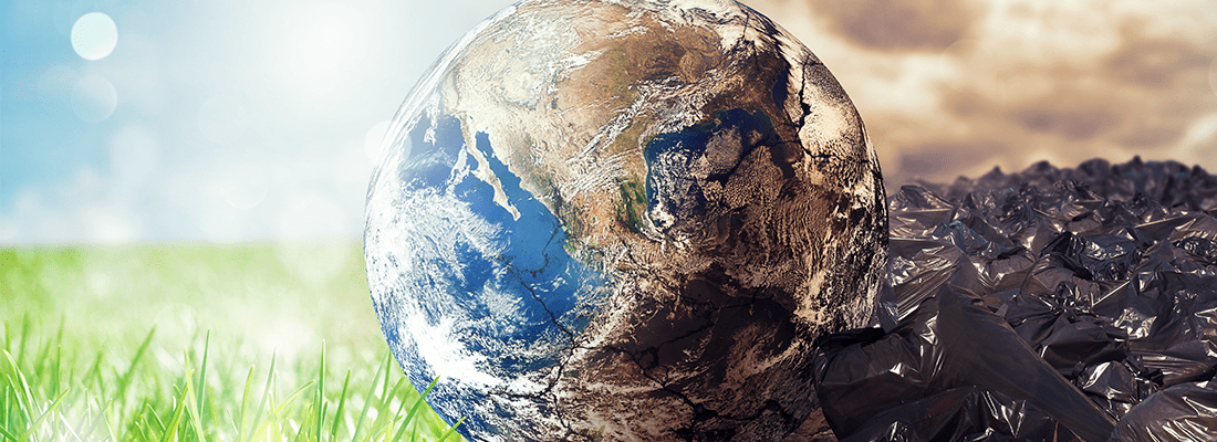 FOUR METHODS TO BECOME MORE SUSTAINABLE AND CREATE A ZERO-WASTE BUSINESS